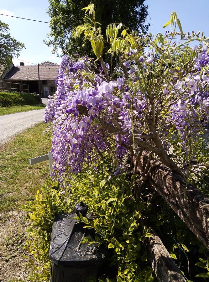 Bed and Breakfast Le Beauregard Ranes Екстер'єр фото